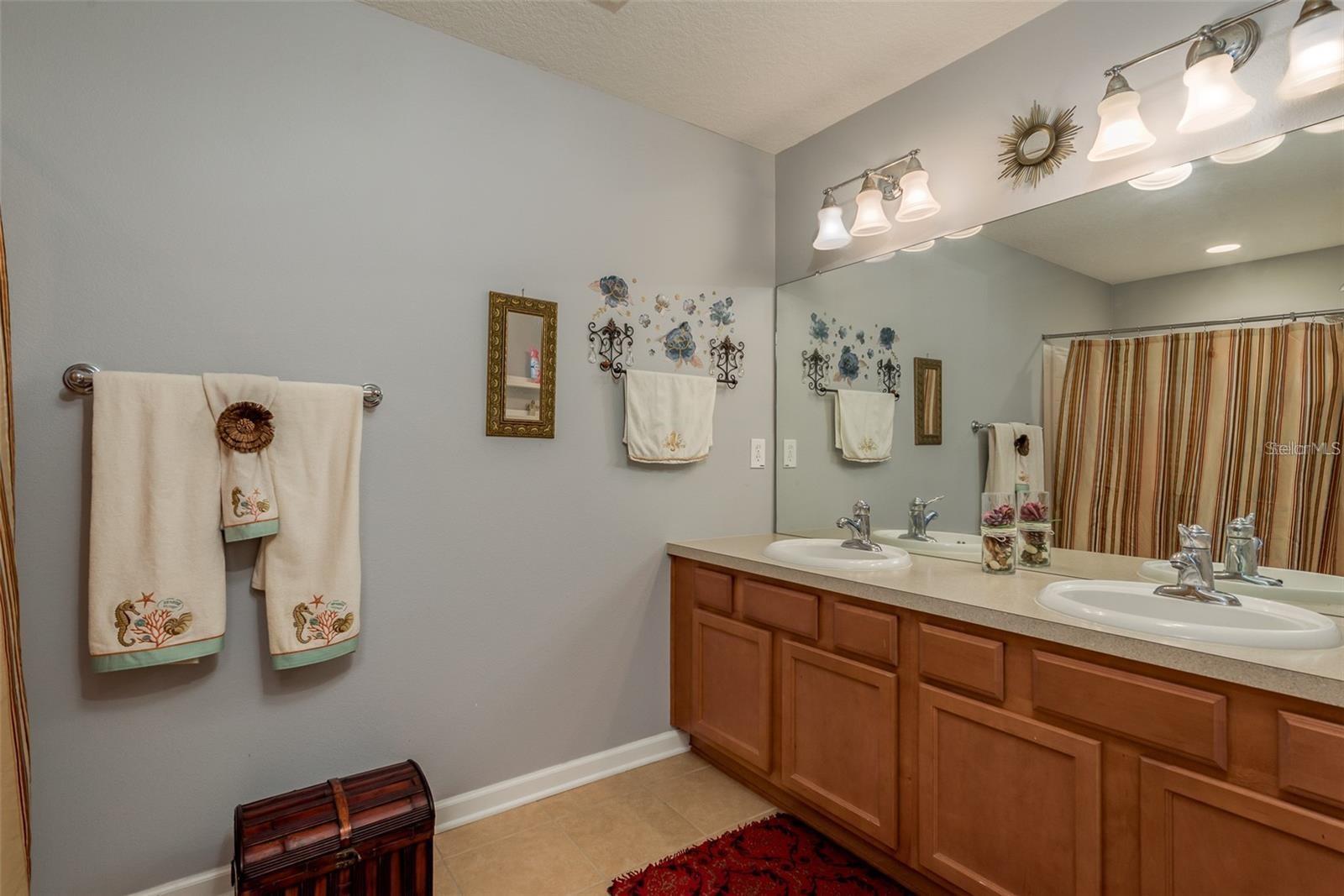 10139 PINK PALMATA CT, RIVERVIEW, FL, 33578
