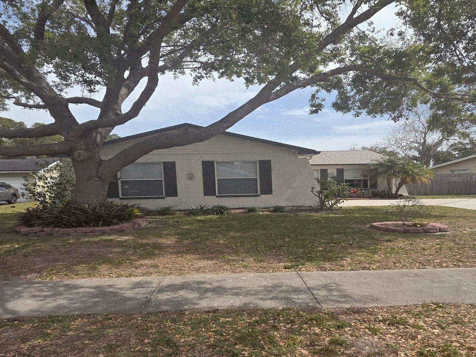 1461 COTTONWOOD TER, DUNEDIN, FL, 34698