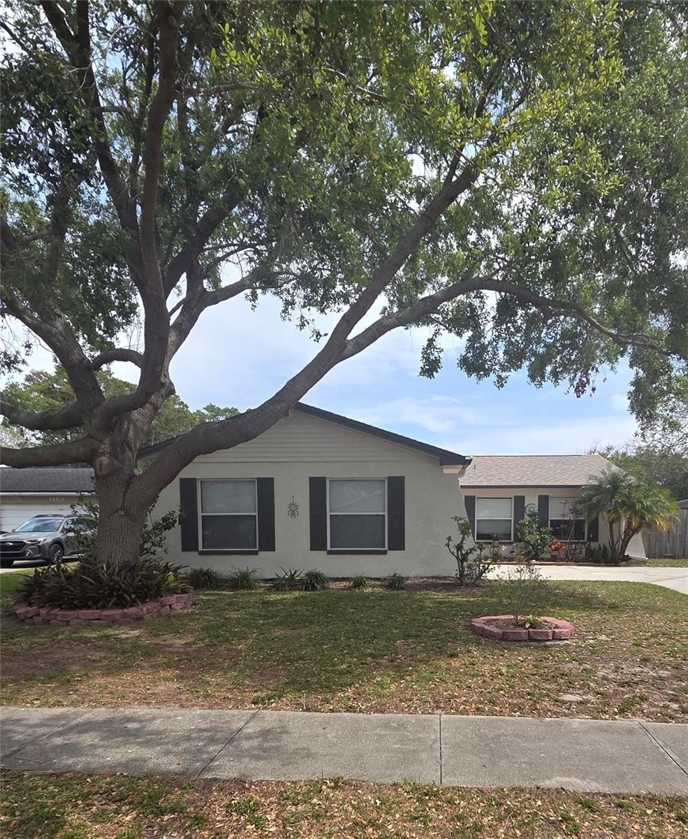 1461 COTTONWOOD TER, DUNEDIN, FL, 34698