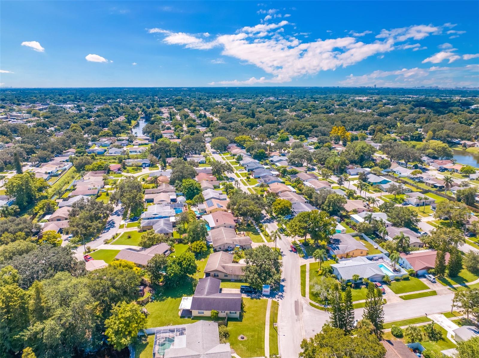 1461 COTTONWOOD TER, DUNEDIN, FL, 34698