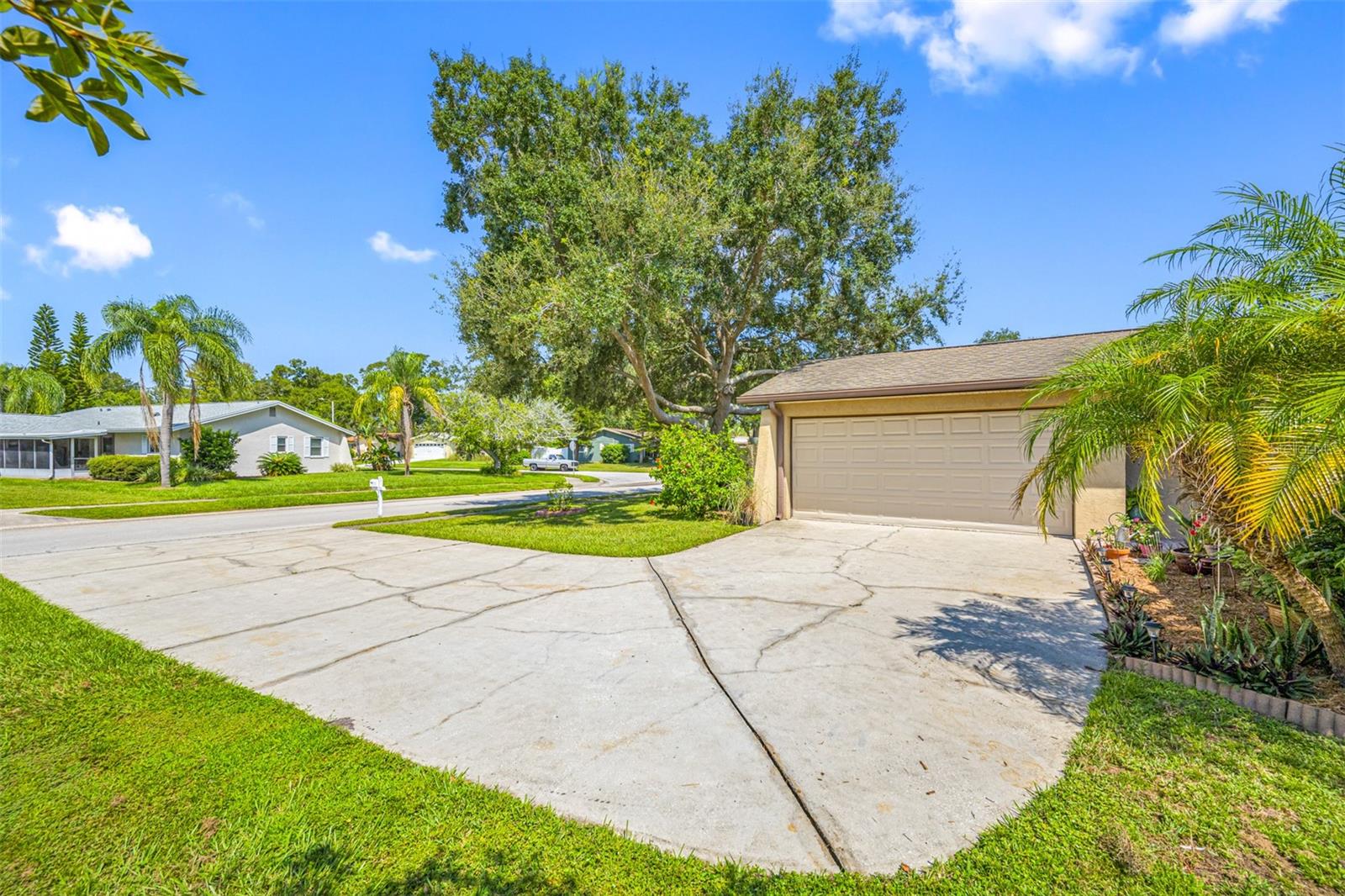 1461 COTTONWOOD TER, DUNEDIN, FL, 34698