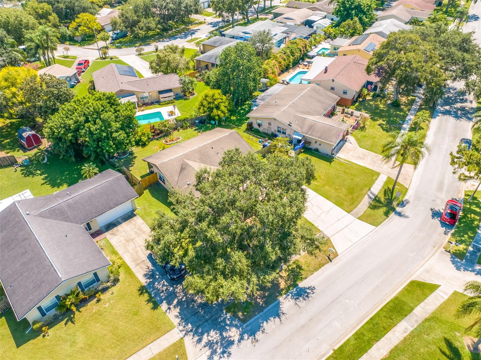 1461 COTTONWOOD TER, DUNEDIN, FL, 34698