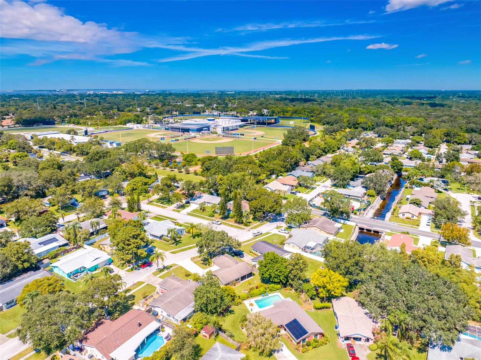 1461 COTTONWOOD TER, DUNEDIN, FL, 34698