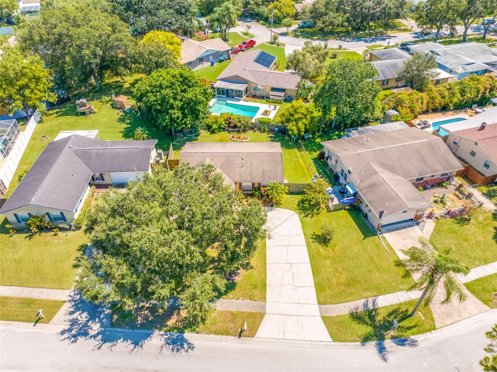 1461 COTTONWOOD TER, DUNEDIN, FL, 34698