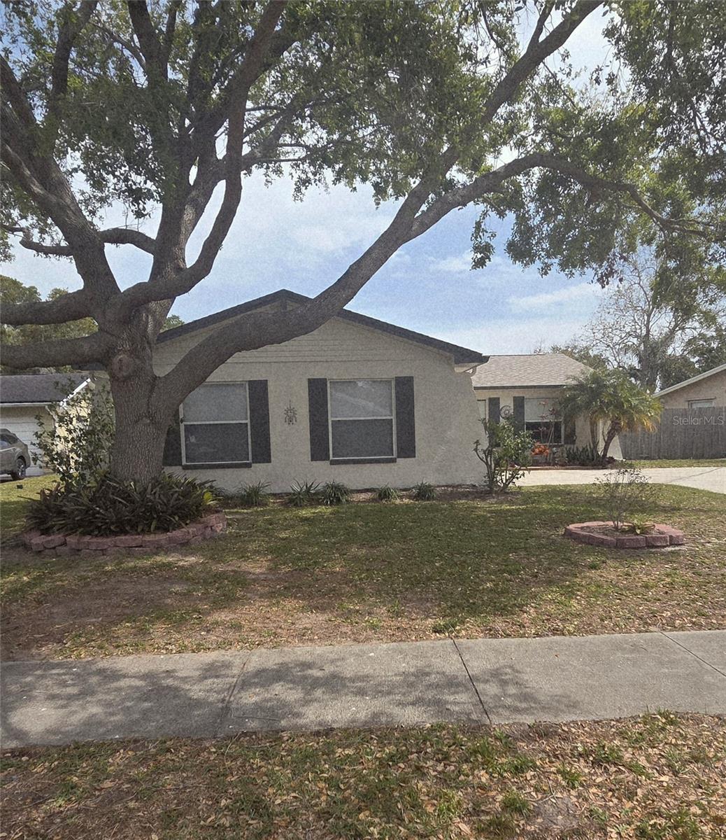 1461 COTTONWOOD TER, DUNEDIN, FL, 34698