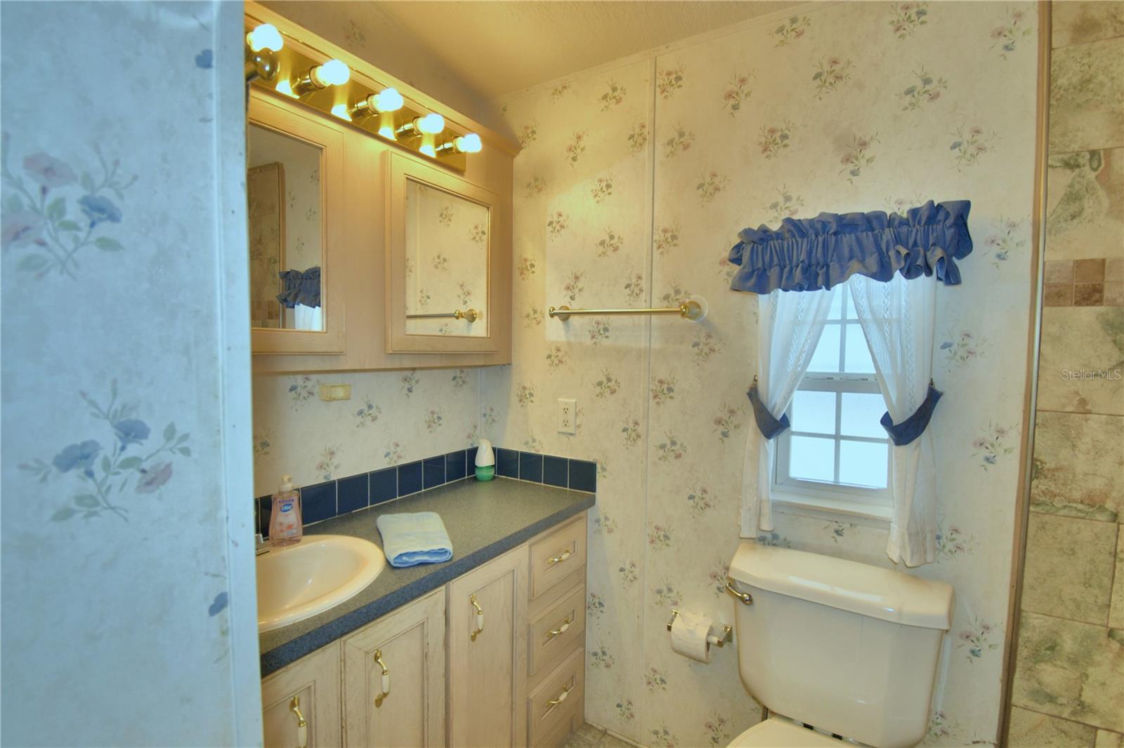 251 PATTERSON RD #H17, HAINES CITY, FL, 33844