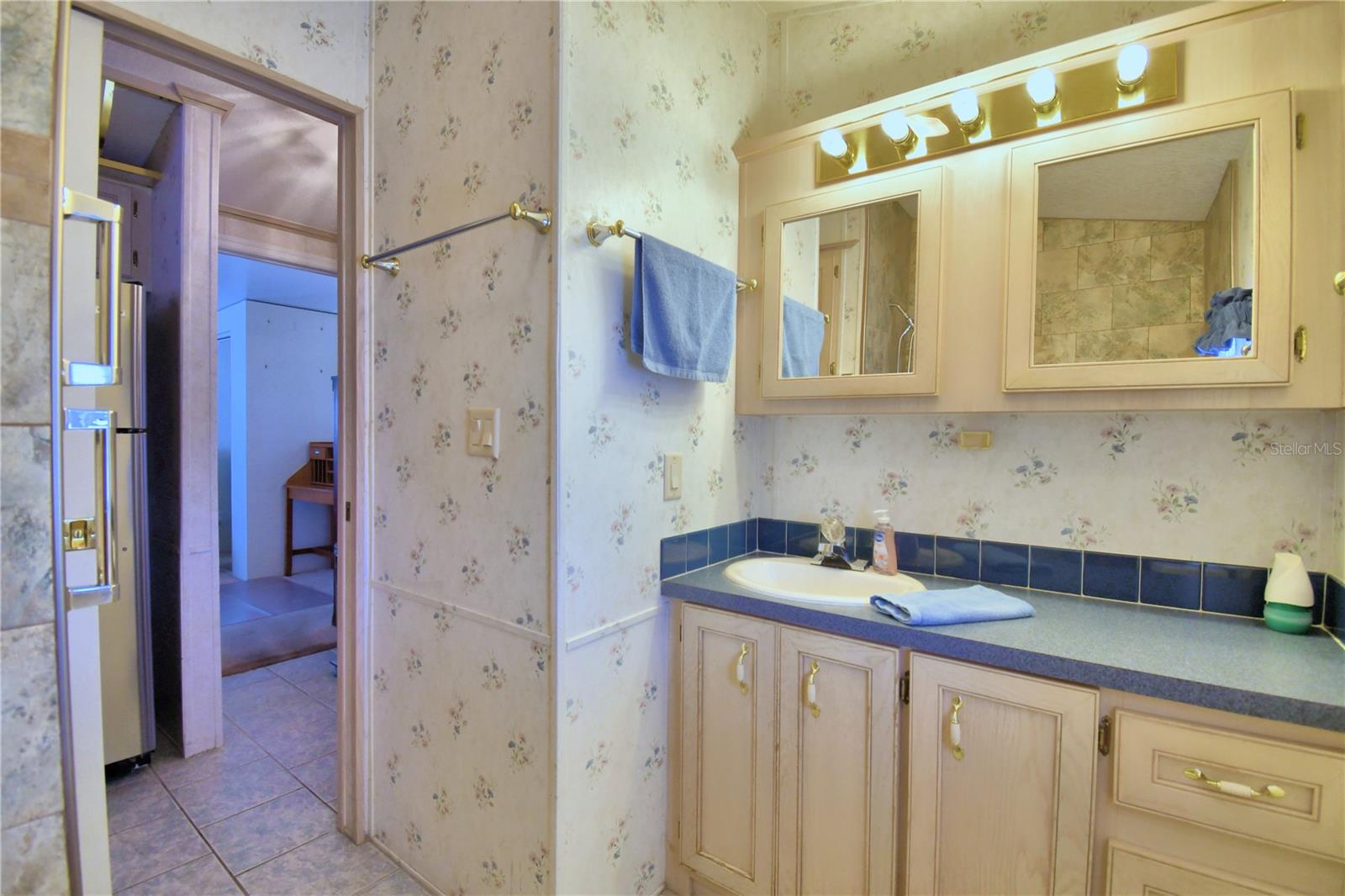 251 PATTERSON RD #H17, HAINES CITY, FL, 33844