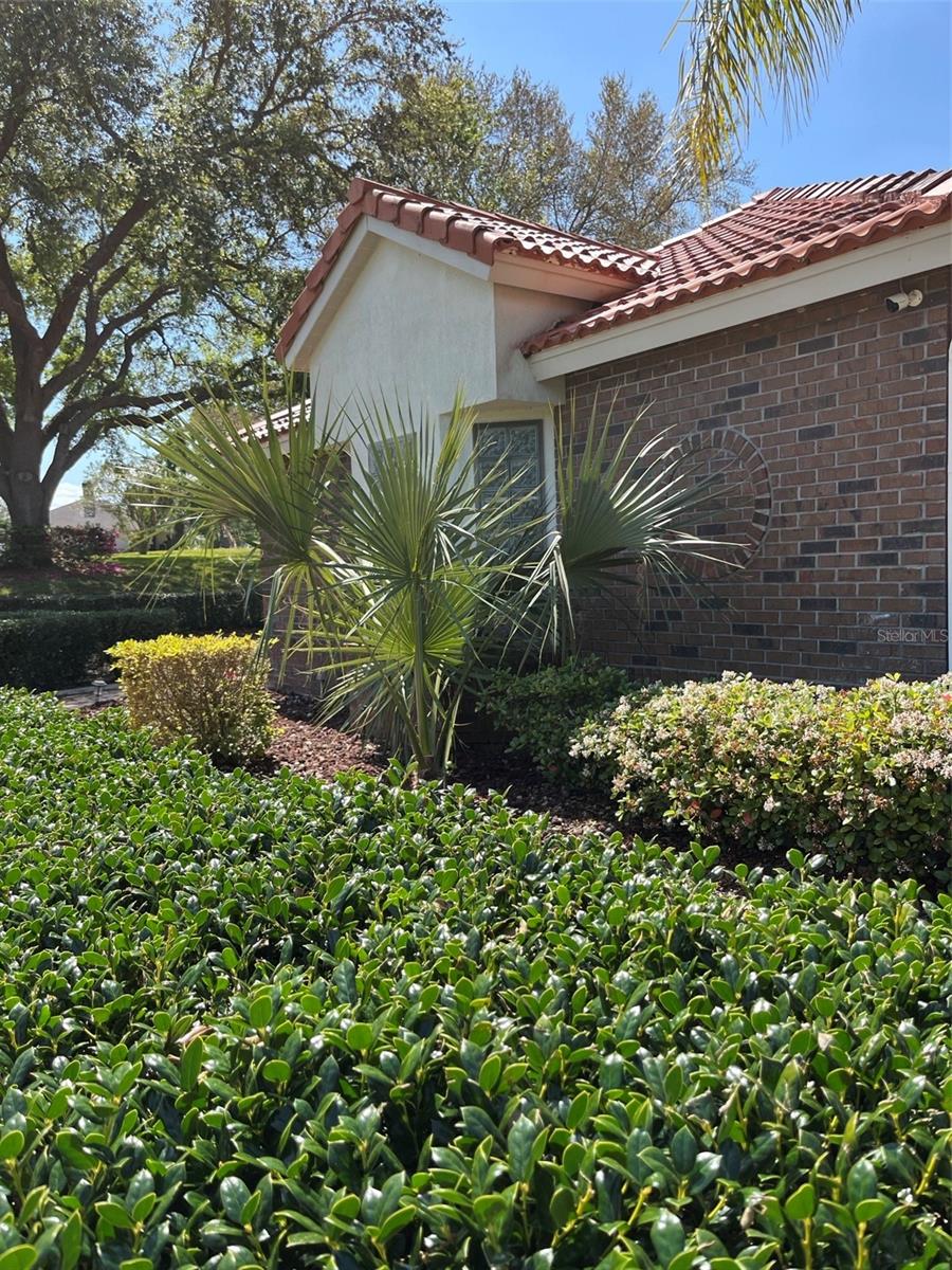 39331 TREELINE DR, LADY LAKE, FL, 32159