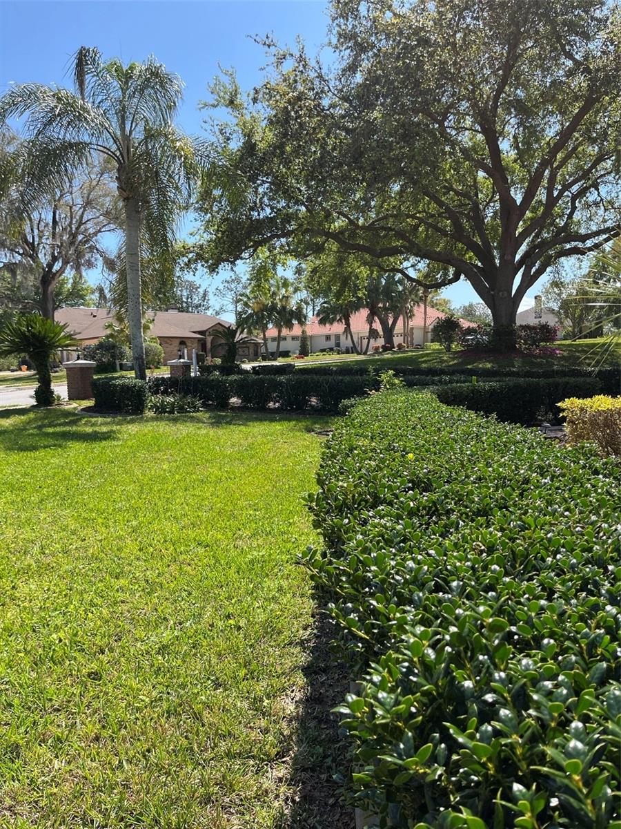 39331 TREELINE DR, LADY LAKE, FL, 32159