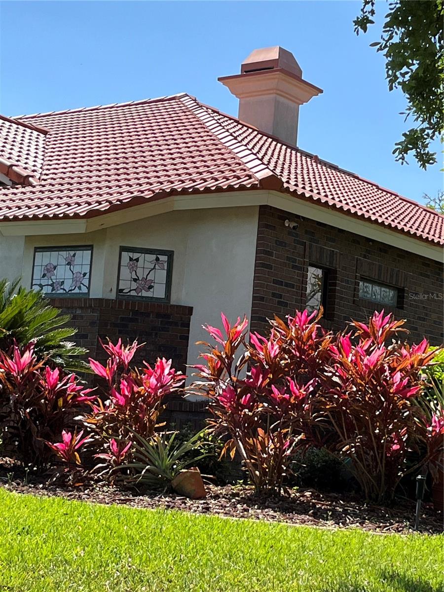 39331 TREELINE DR, LADY LAKE, FL, 32159
