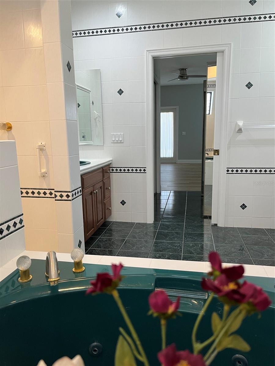 39331 TREELINE DR, LADY LAKE, FL, 32159
