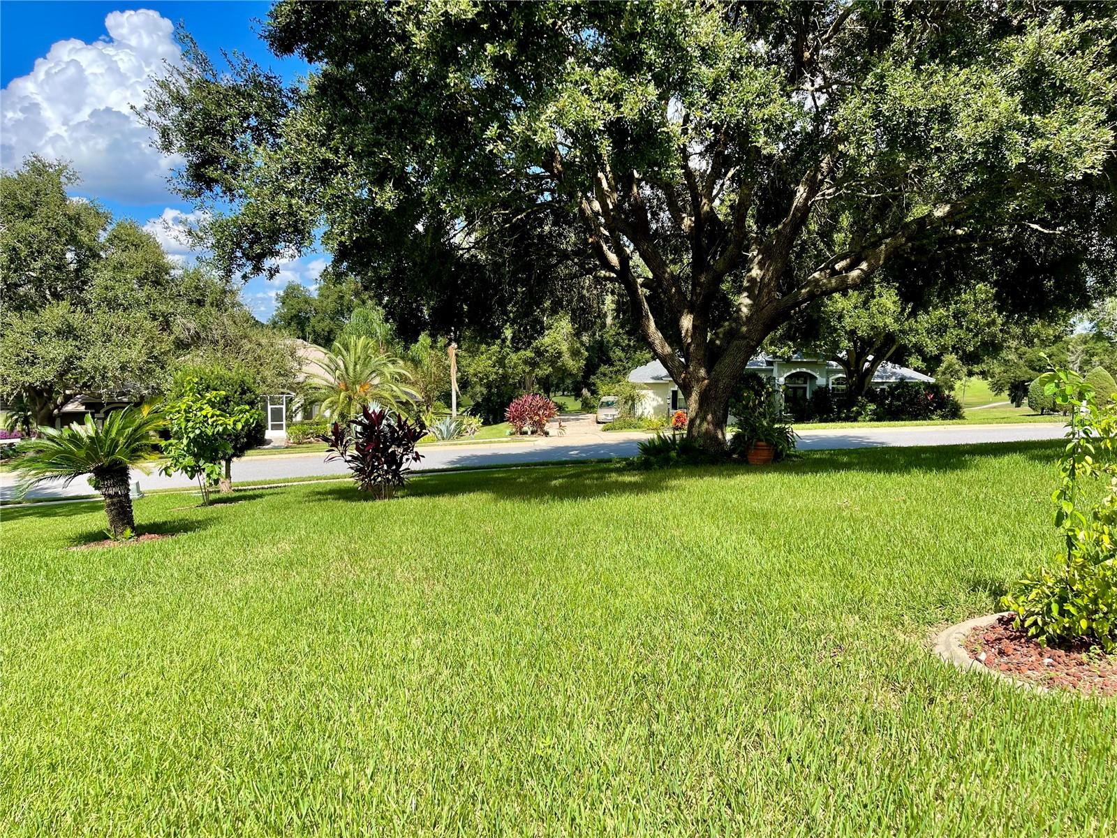 39331 TREELINE DR, LADY LAKE, FL, 32159