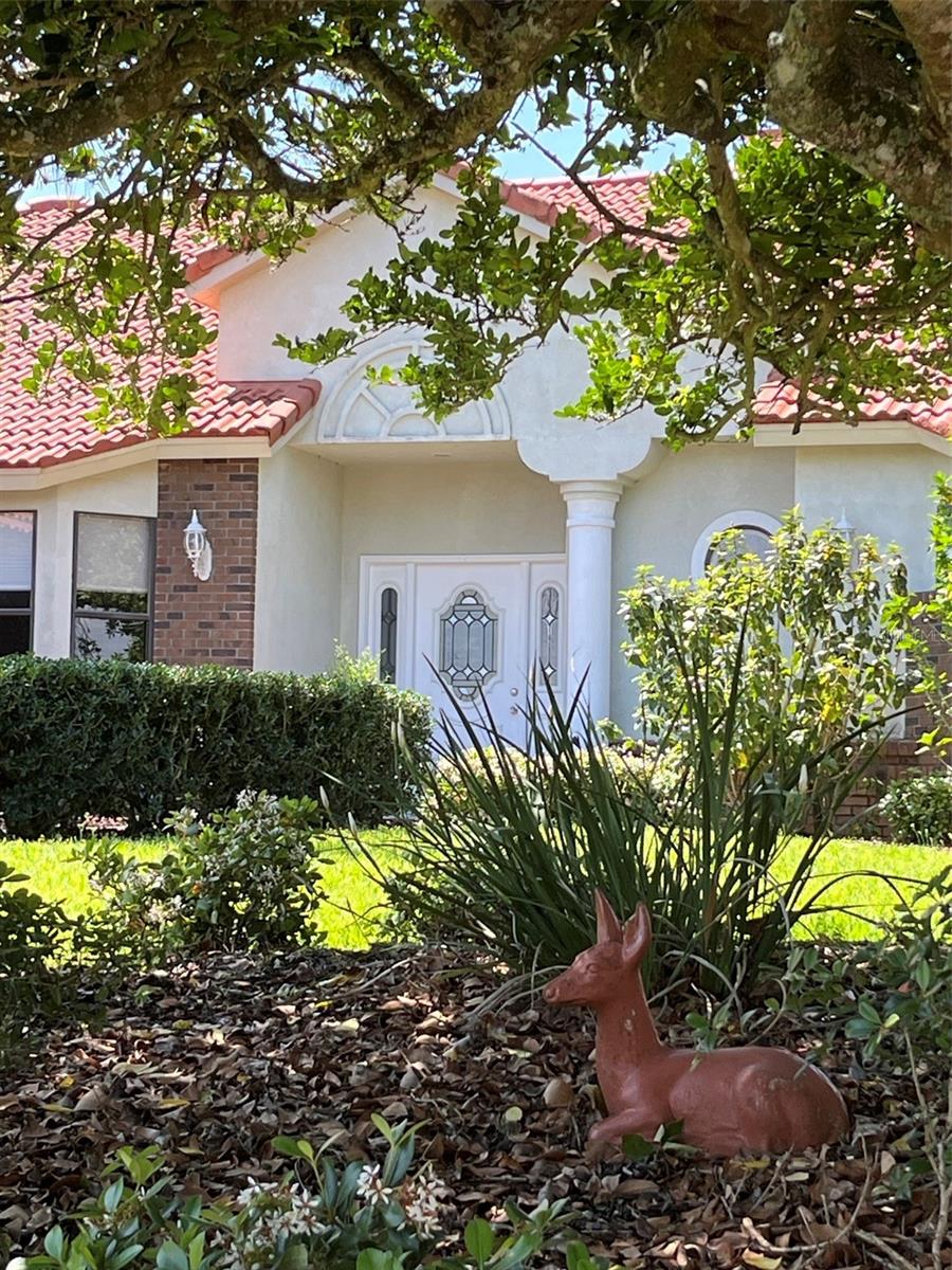 39331 TREELINE DR, LADY LAKE, FL, 32159
