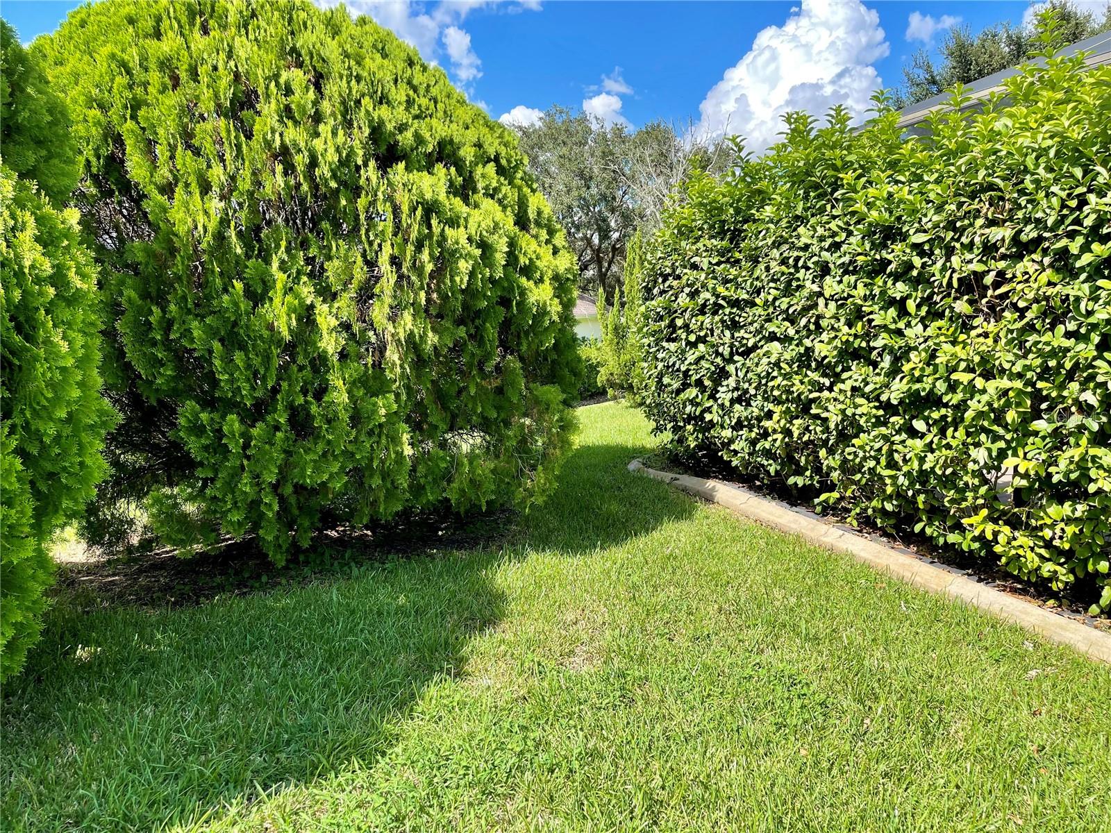 39331 TREELINE DR, LADY LAKE, FL, 32159