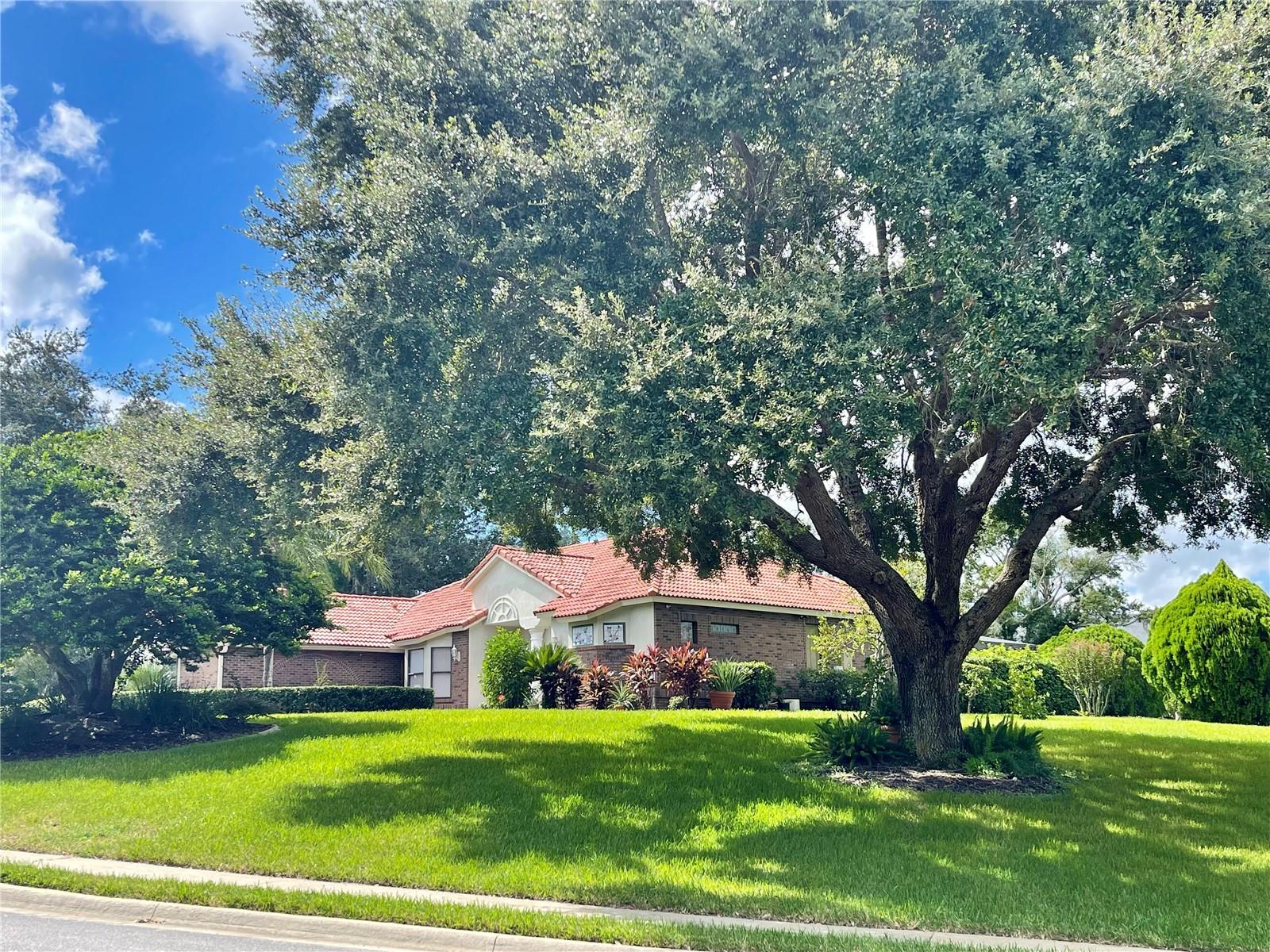 39331 TREELINE DR, LADY LAKE, FL, 32159