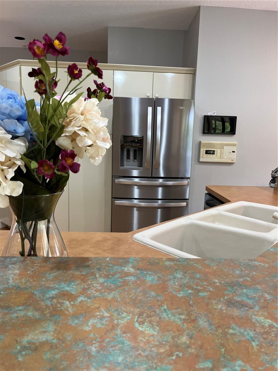 39331 TREELINE DR, LADY LAKE, FL, 32159