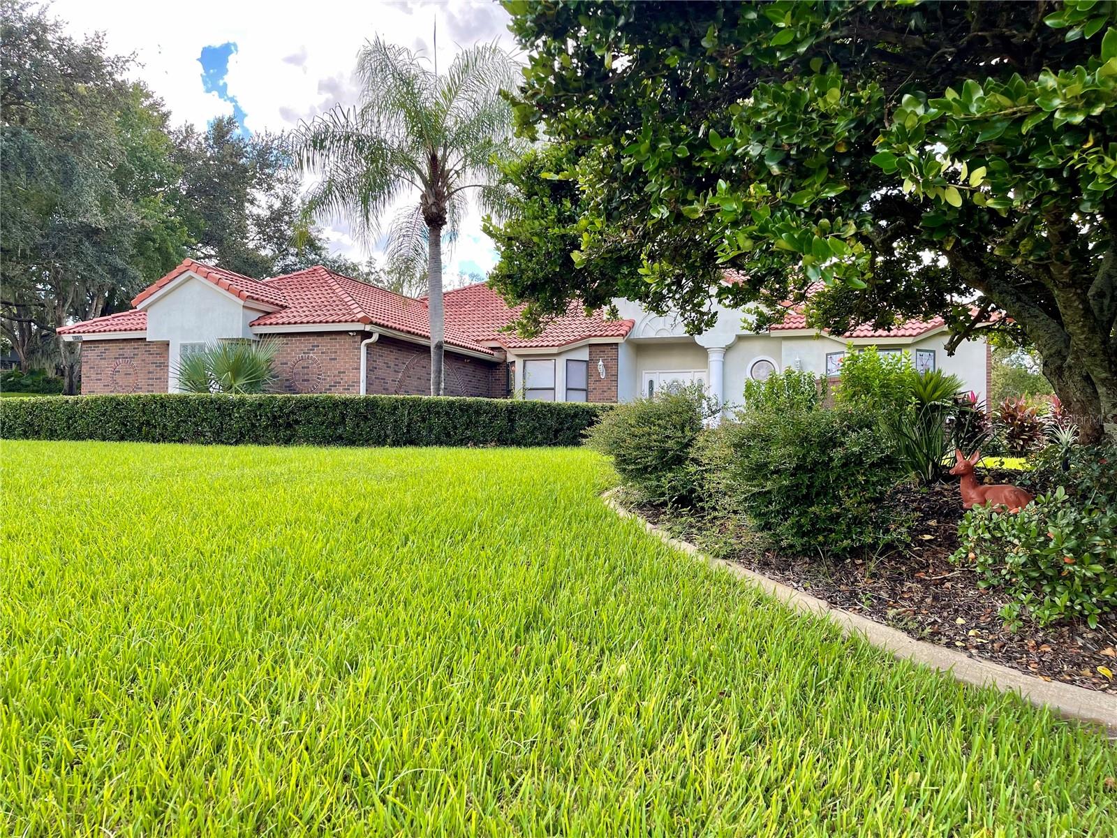 39331 TREELINE DR, LADY LAKE, FL, 32159