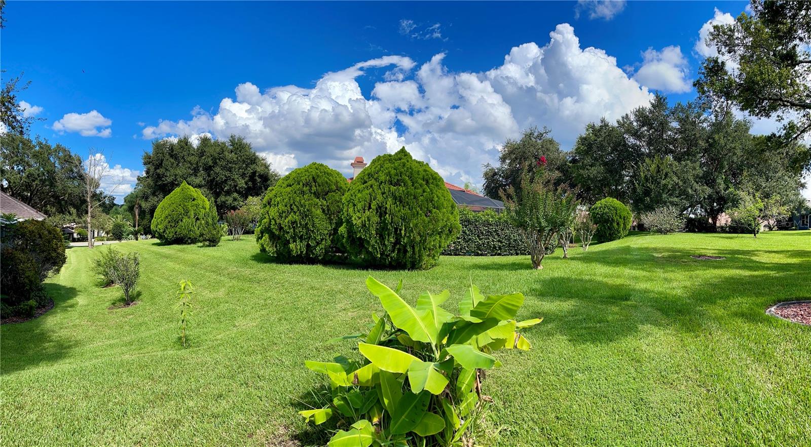 39331 TREELINE DR, LADY LAKE, FL, 32159