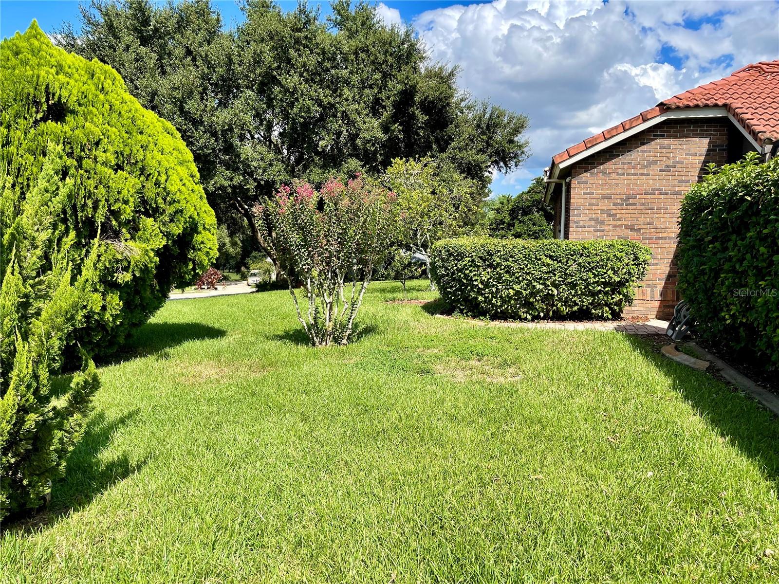 39331 TREELINE DR, LADY LAKE, FL, 32159