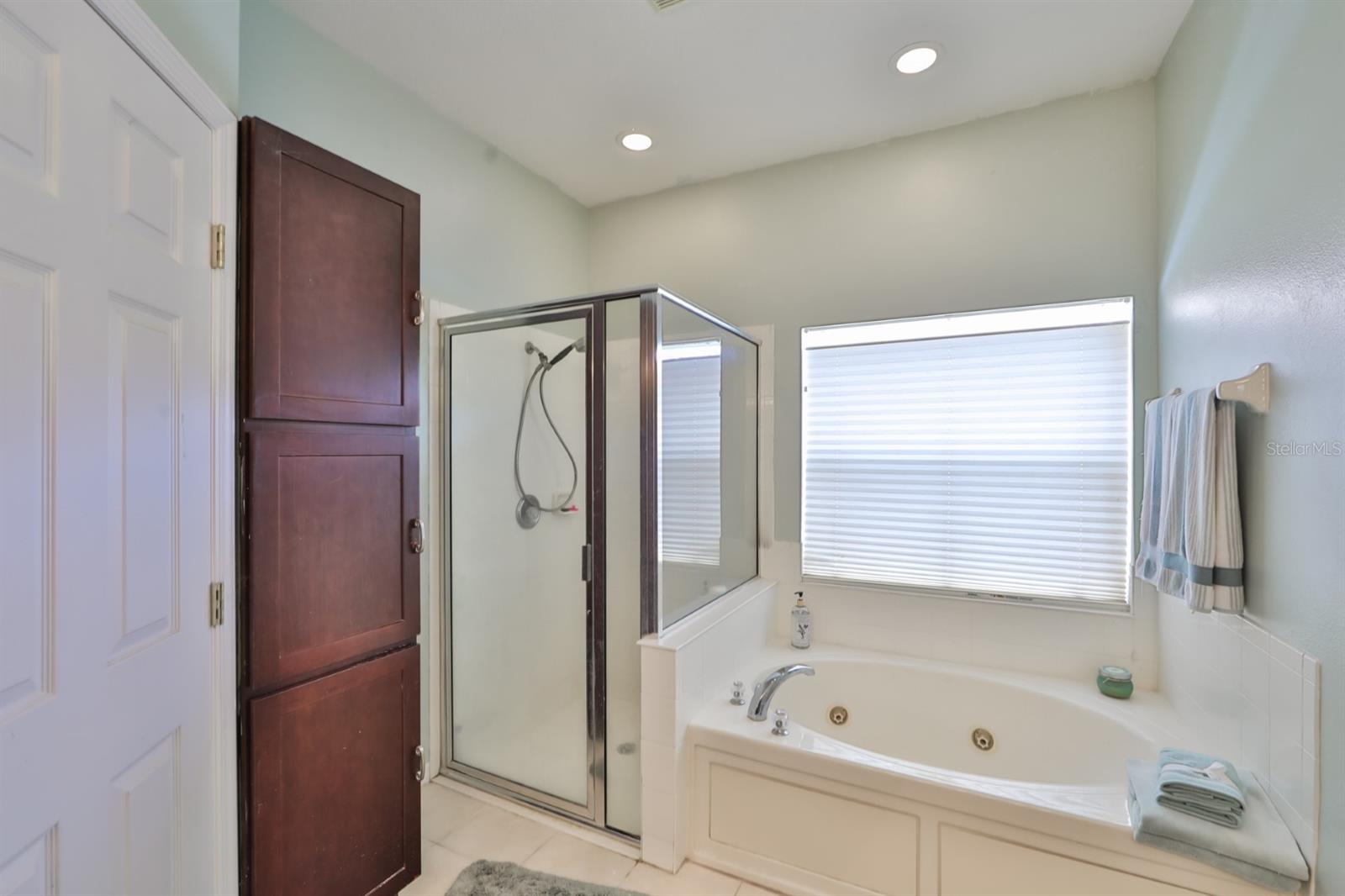 11154 CREEK HAVEN DR, RIVERVIEW, FL, 33569