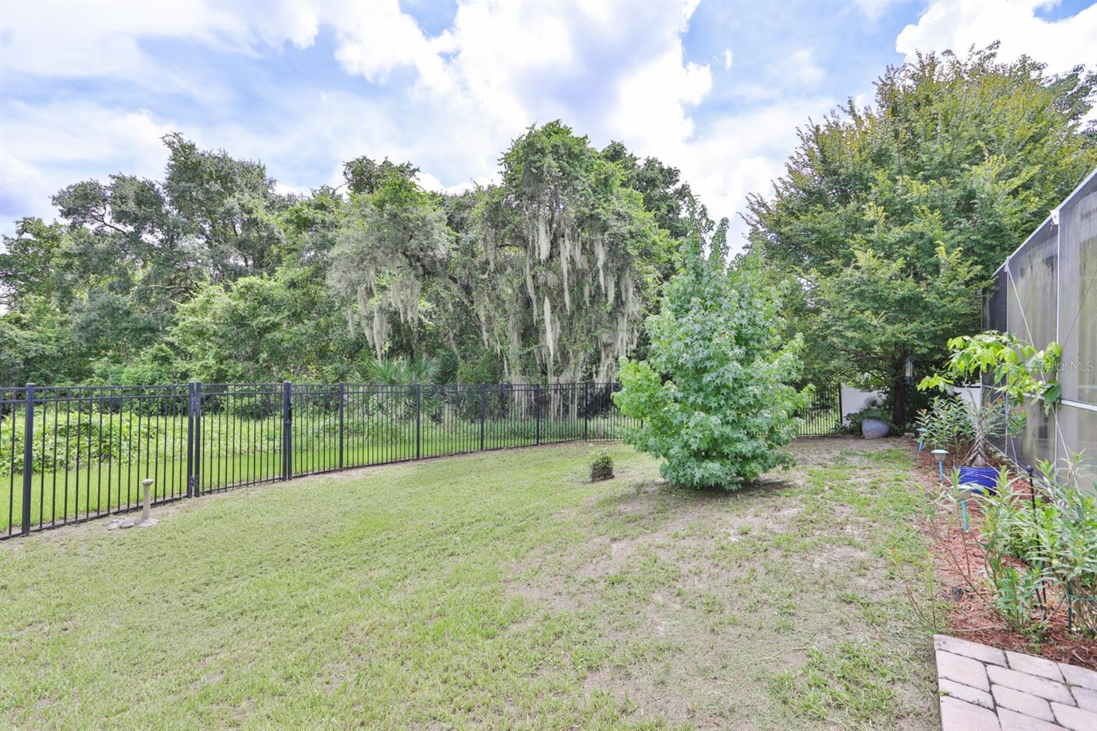 11154 CREEK HAVEN DR, RIVERVIEW, FL, 33569