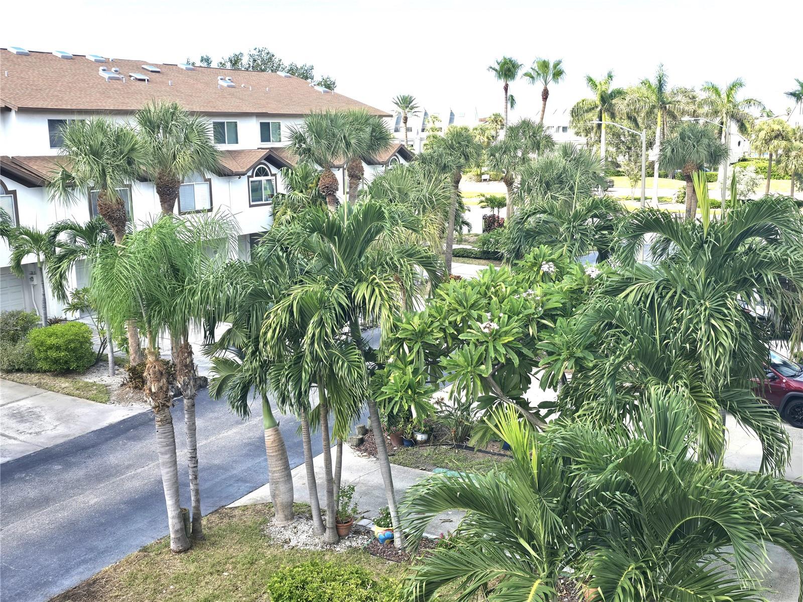 346 MADEIRA CIR, ST PETERSBURG, FL, 33715
