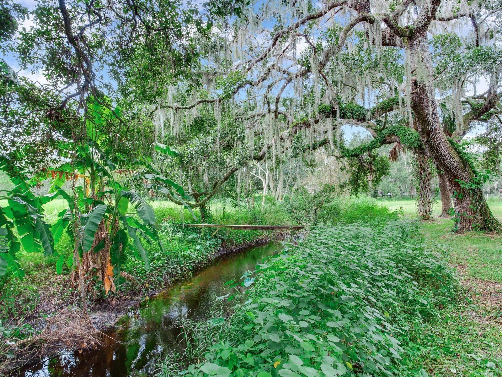 7301 PIERCE HARWELL RD, PLANT CITY, FL, 33565