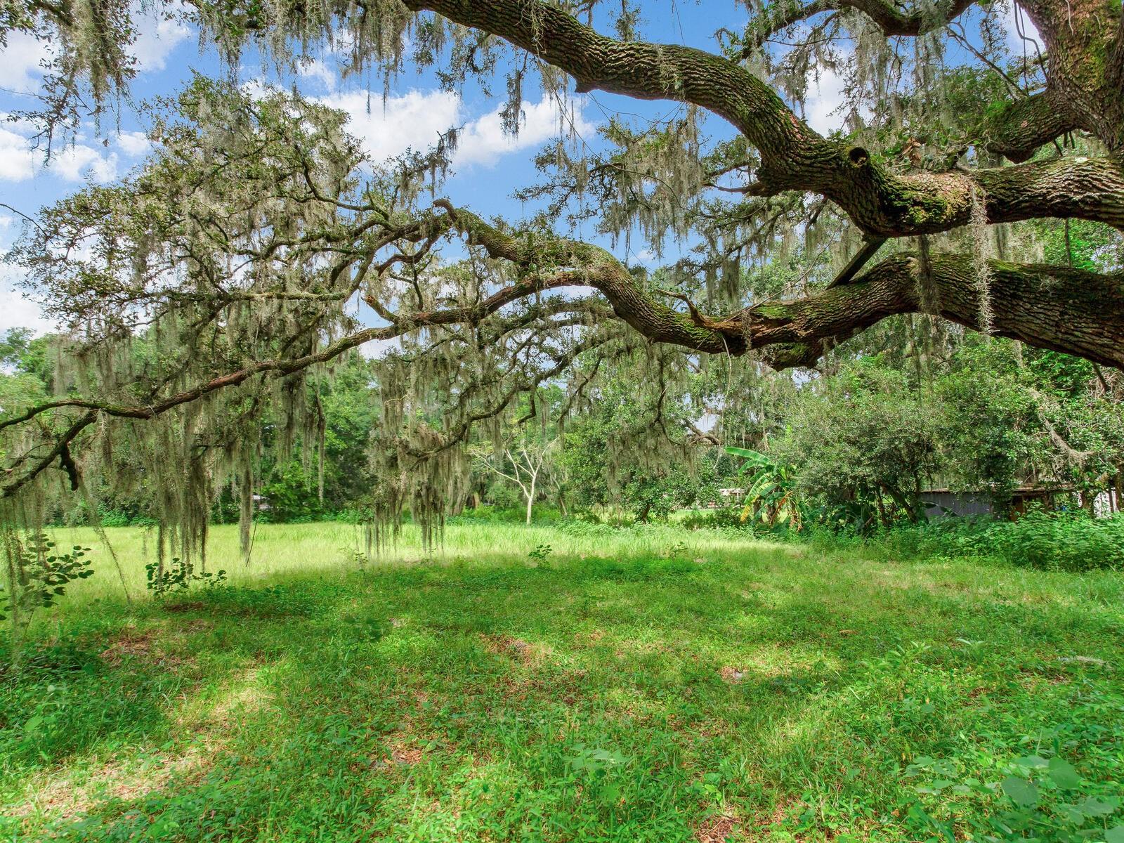 7301 PIERCE HARWELL RD, PLANT CITY, FL, 33565
