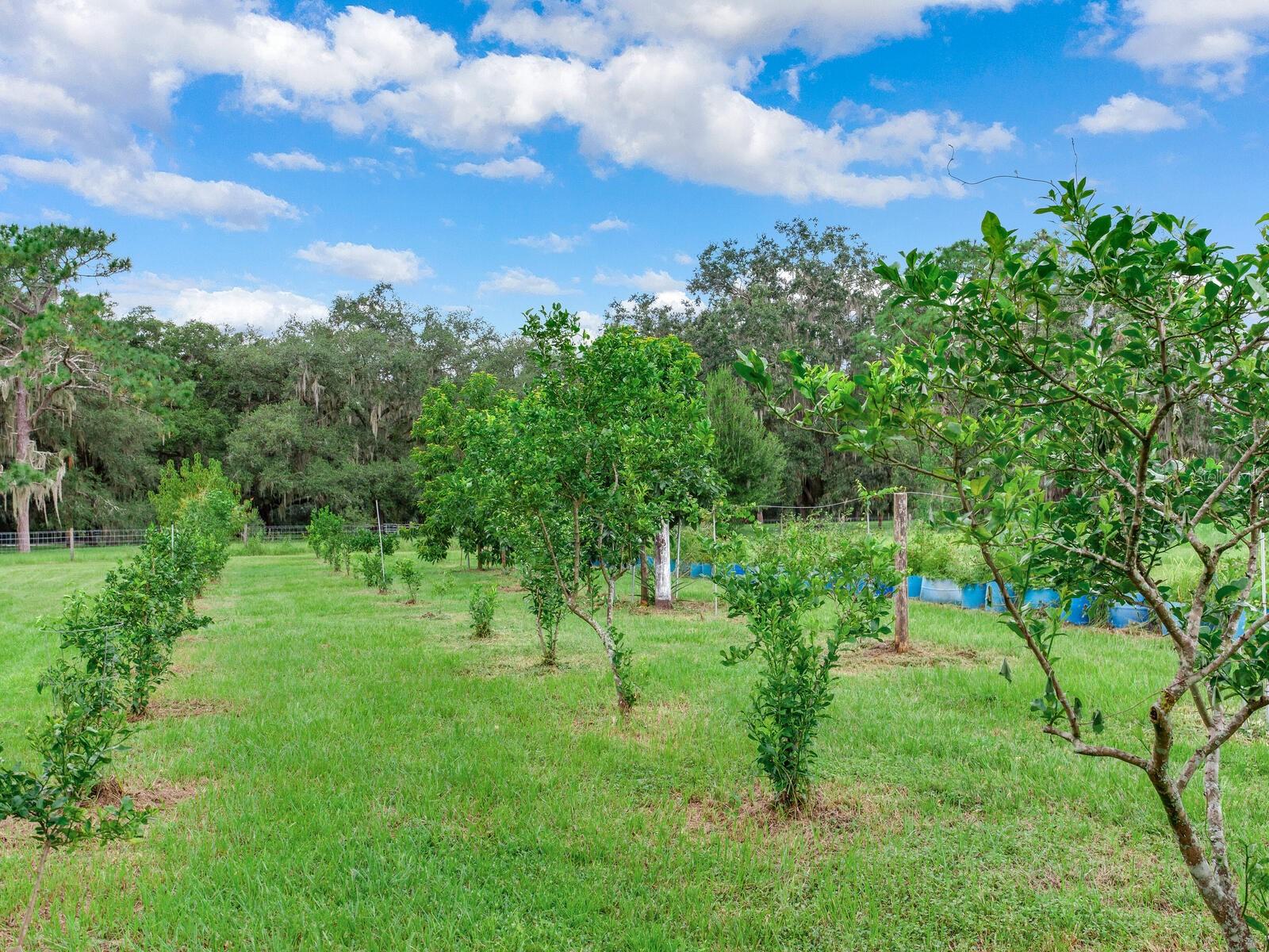 7301 PIERCE HARWELL RD, PLANT CITY, FL, 33565