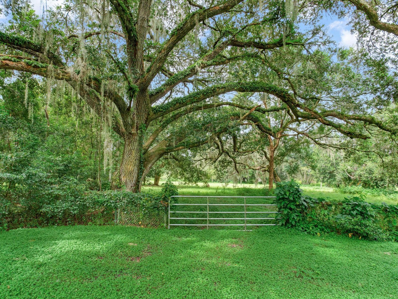 7301 PIERCE HARWELL RD, PLANT CITY, FL, 33565