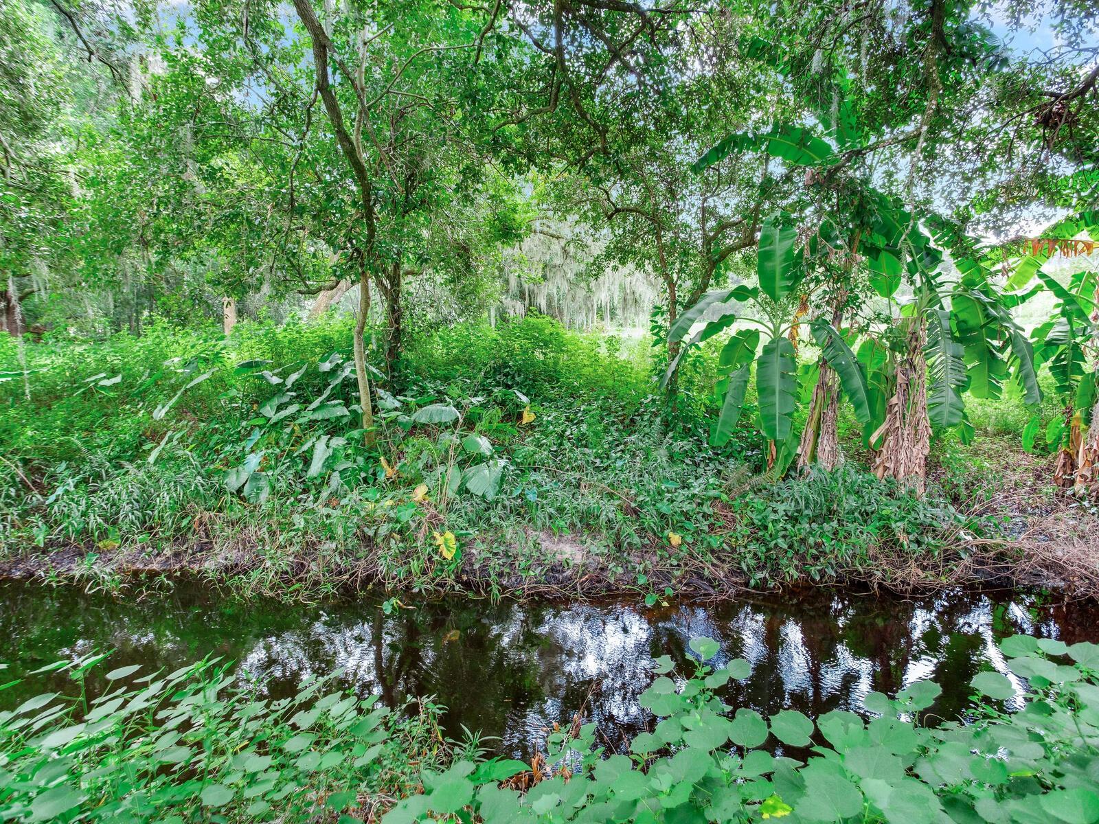 7301 PIERCE HARWELL RD, PLANT CITY, FL, 33565