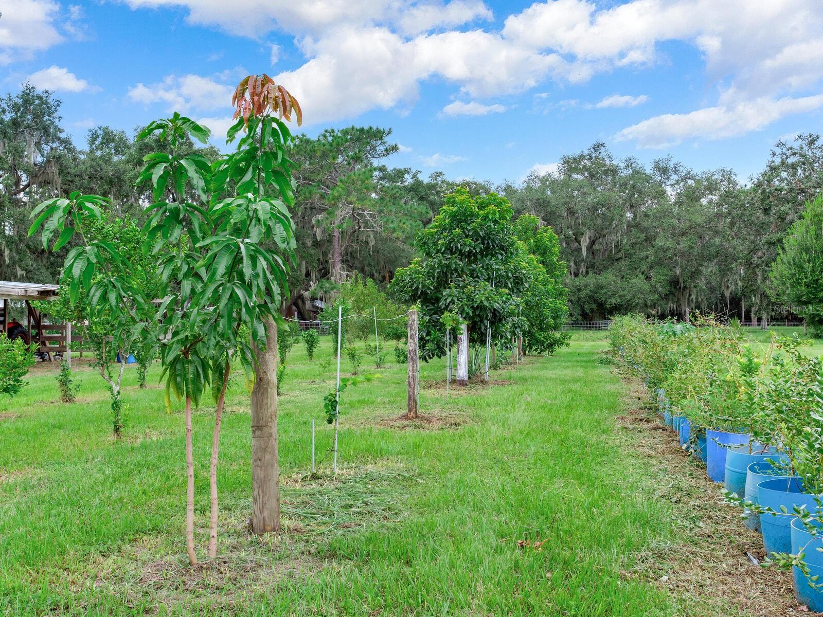 7301 PIERCE HARWELL RD, PLANT CITY, FL, 33565