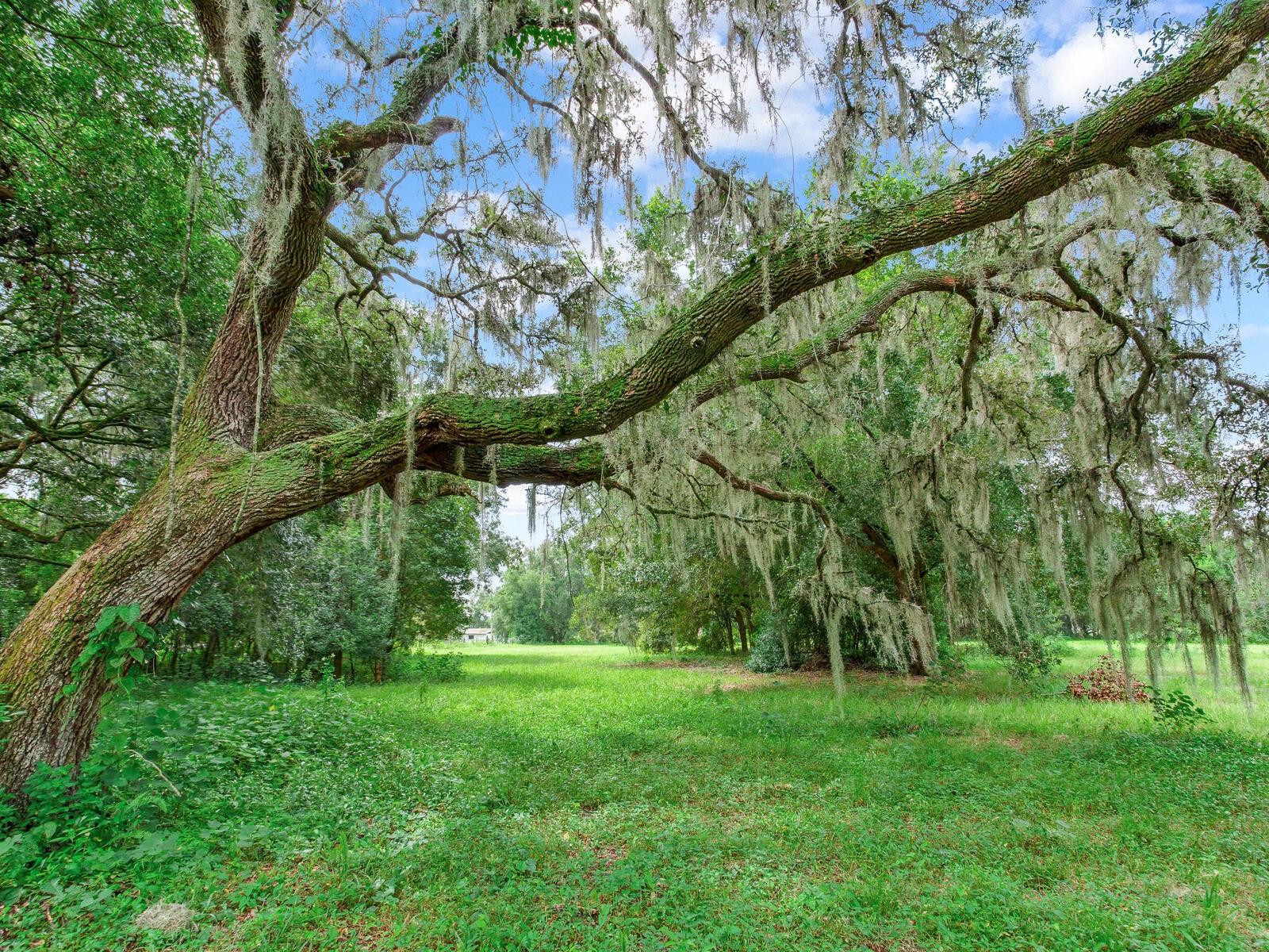 7301 PIERCE HARWELL RD, PLANT CITY, FL, 33565