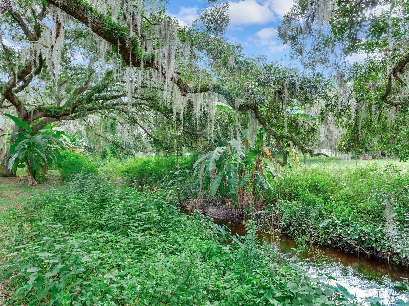 7301 PIERCE HARWELL RD, PLANT CITY, FL, 33565