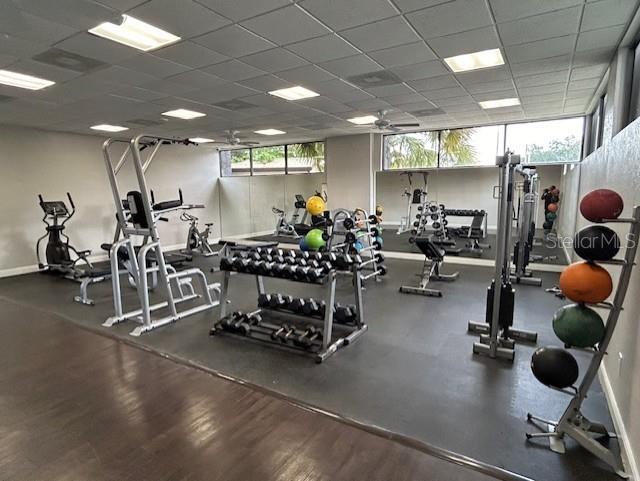 1262 E 113TH AVE #H203, TAMPA, FL, 33612