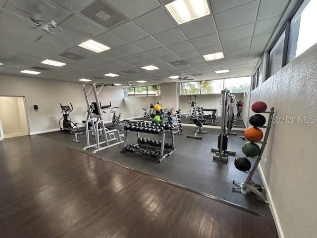 1262 E 113TH AVE #H203, TAMPA, FL, 33612