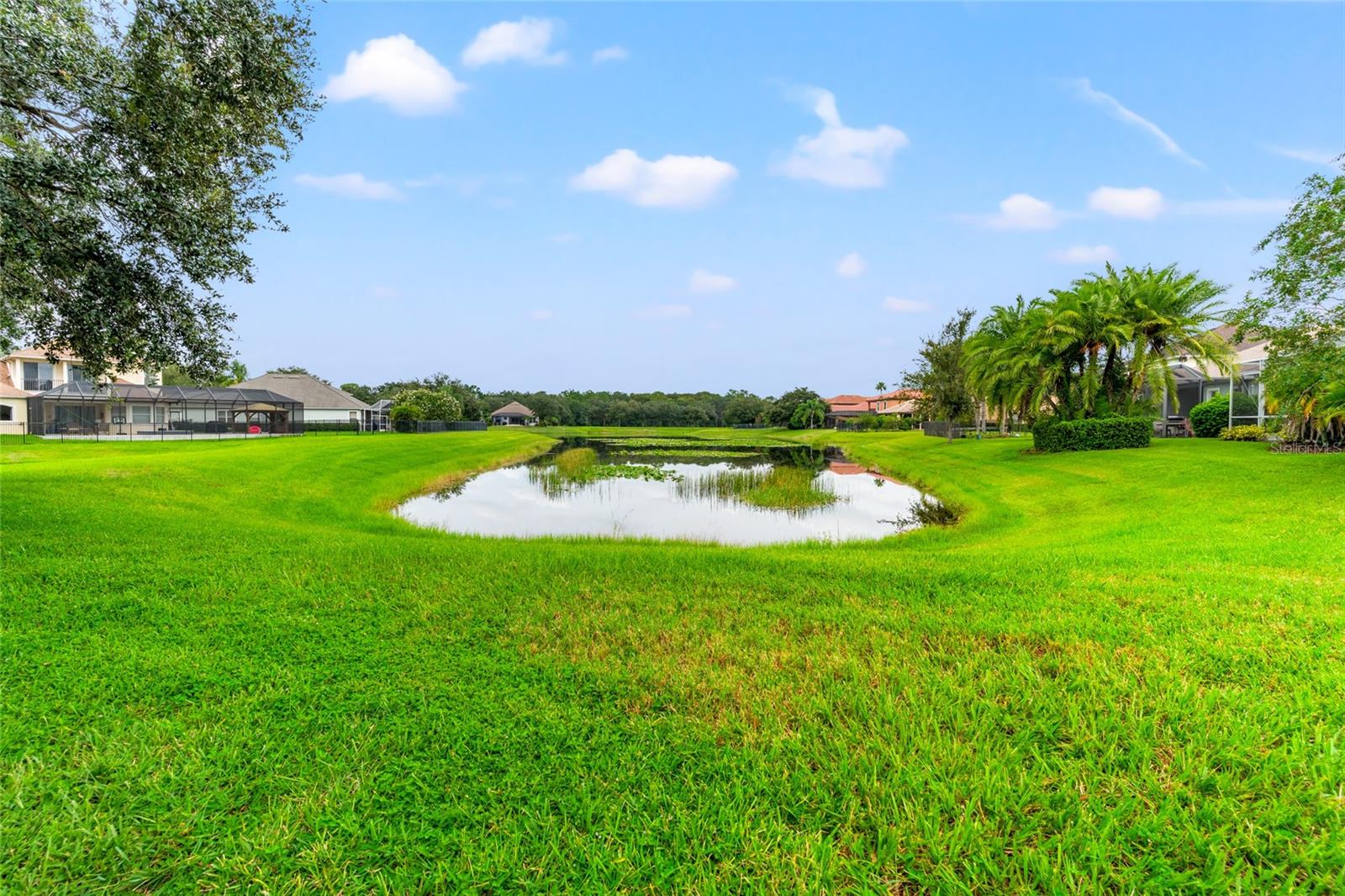 20146 HERITAGE POINT DR, TAMPA, FL, 33647
