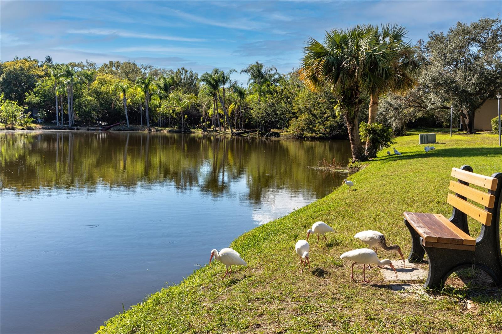 4215 E BAY DR #1701H, CLEARWATER, FL, 33764