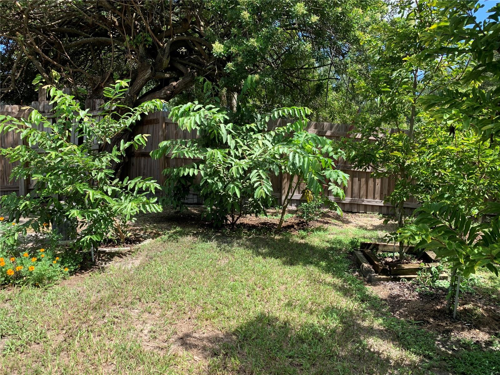 3275 FOX LAKE DR, TAMPA, FL, 33618