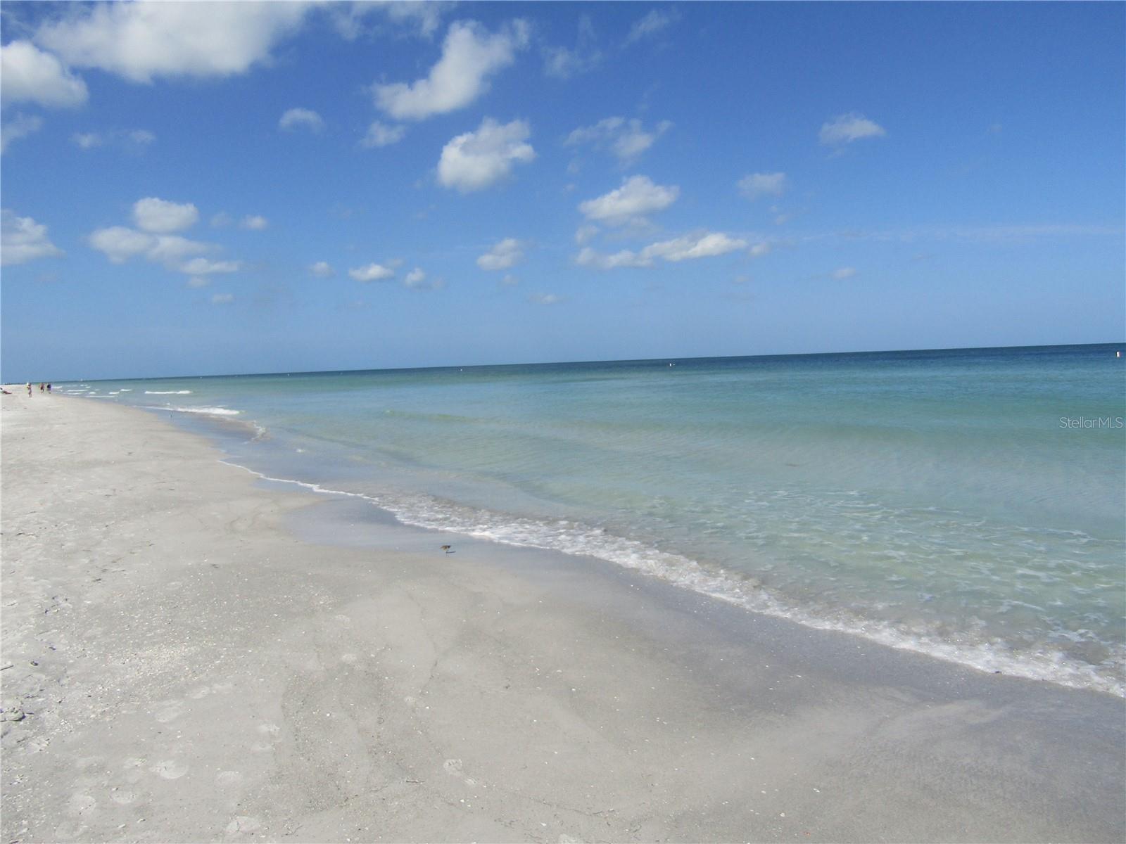1430 GULF BLVD #109, CLEARWATER BEACH, FL, 33767