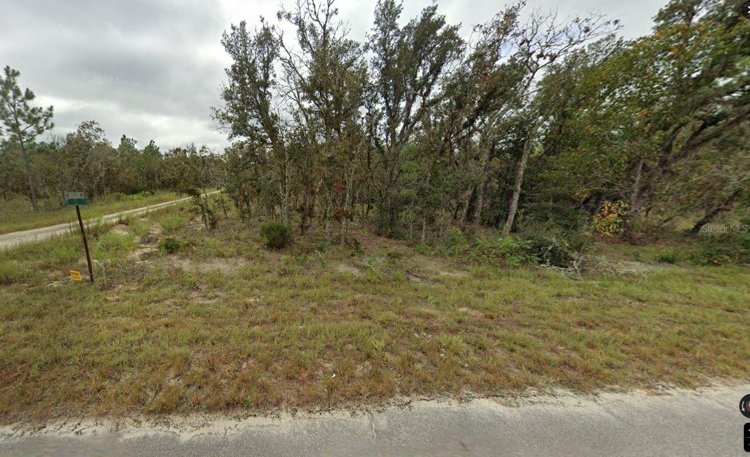 13TH ST NE, WILLISTON, FL, 32696