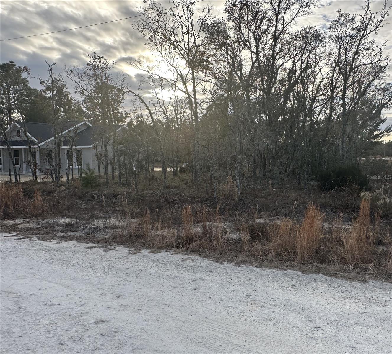 13TH ST NE, WILLISTON, FL, 32696