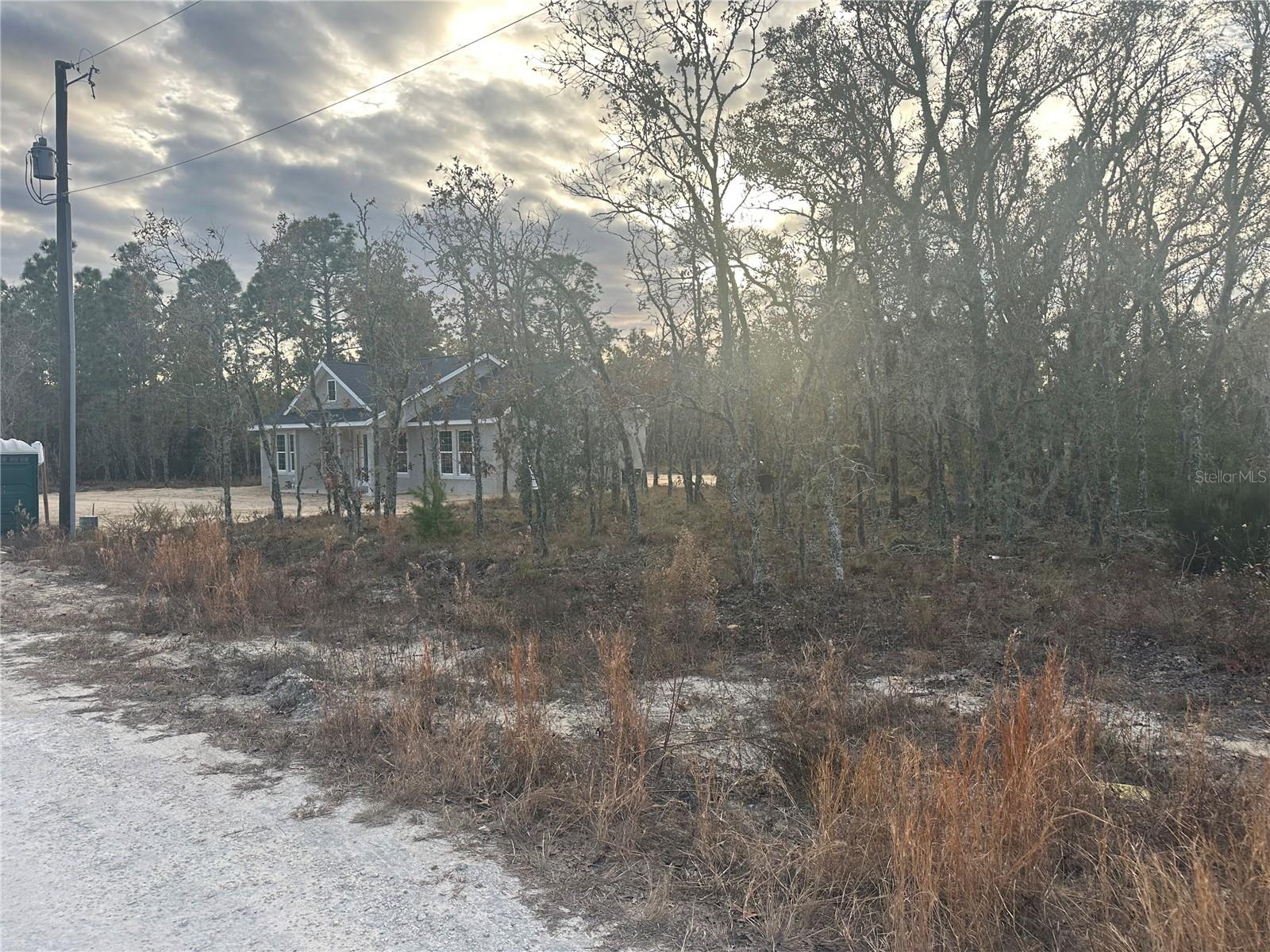 13TH ST NE, WILLISTON, FL, 32696