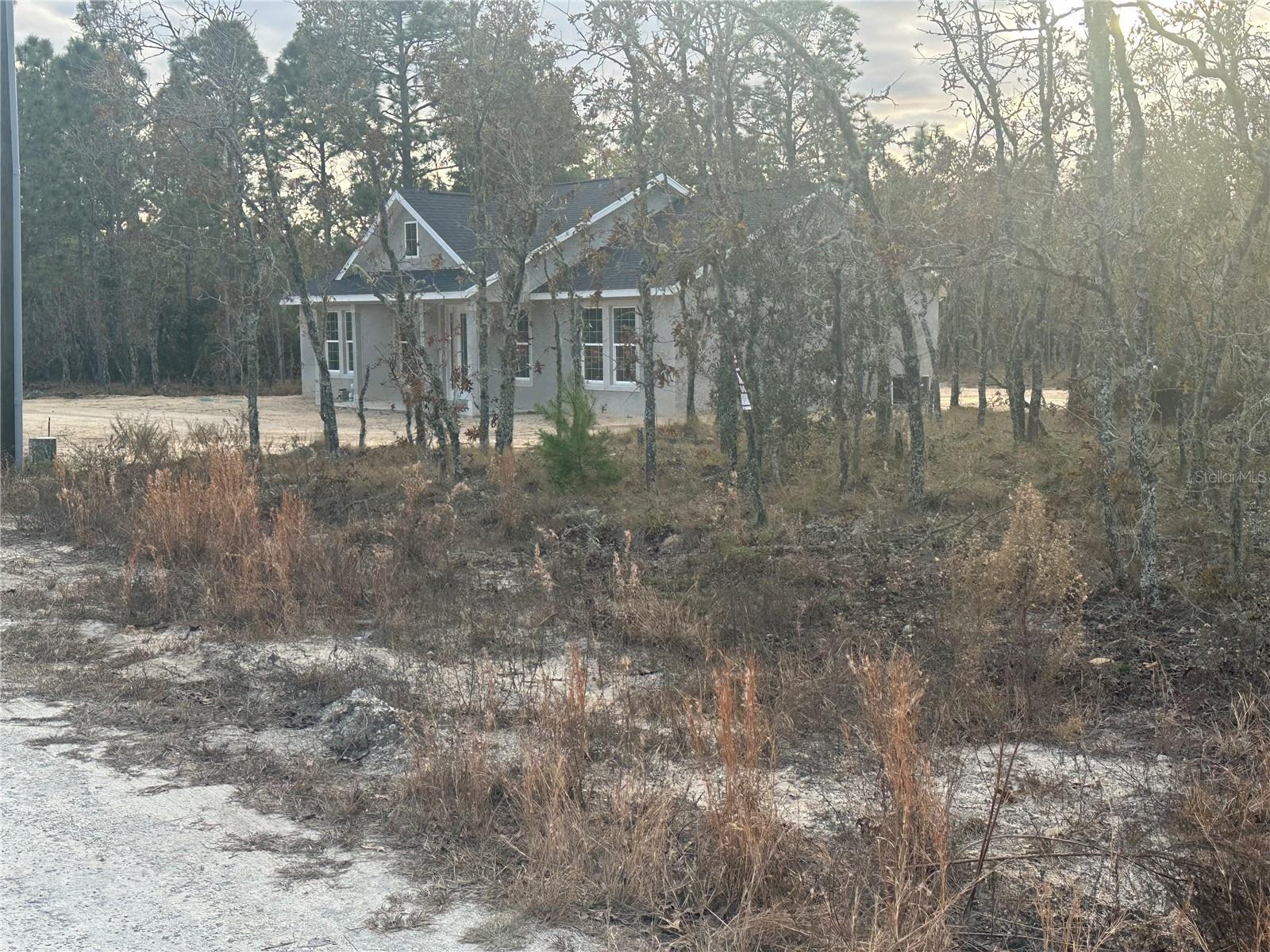 13TH ST NE, WILLISTON, FL, 32696