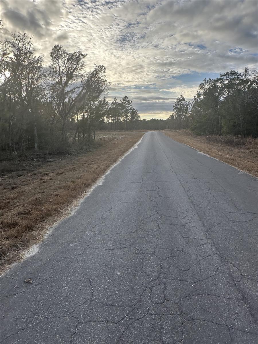 13TH ST NE, WILLISTON, FL, 32696