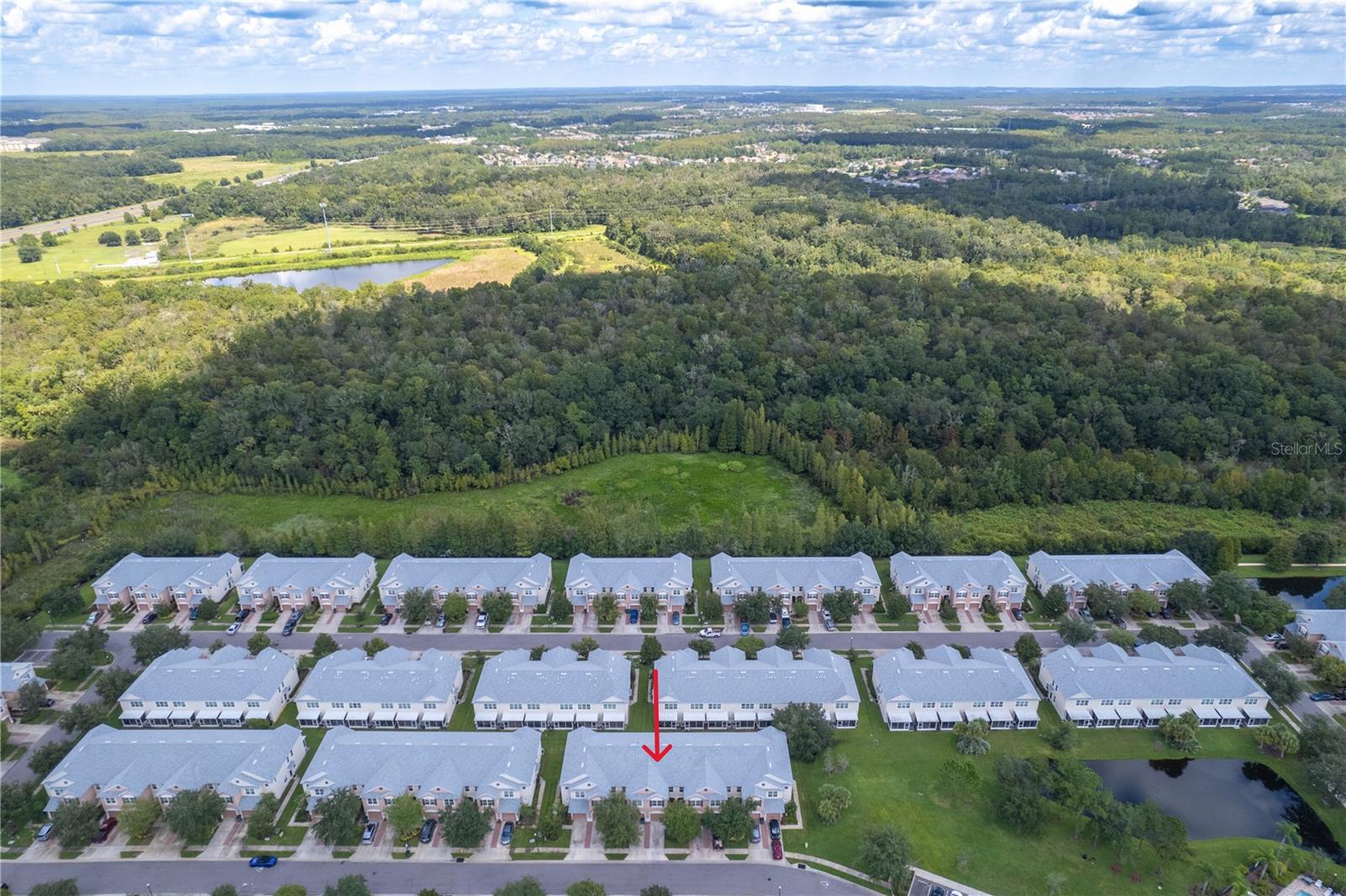 26607 CHIMNEY SPIRE LN, WESLEY CHAPEL, FL, 33544