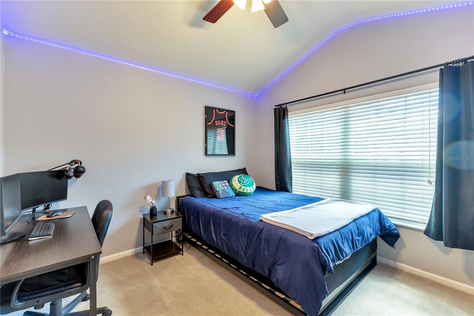 26607 CHIMNEY SPIRE LN, WESLEY CHAPEL, FL, 33544