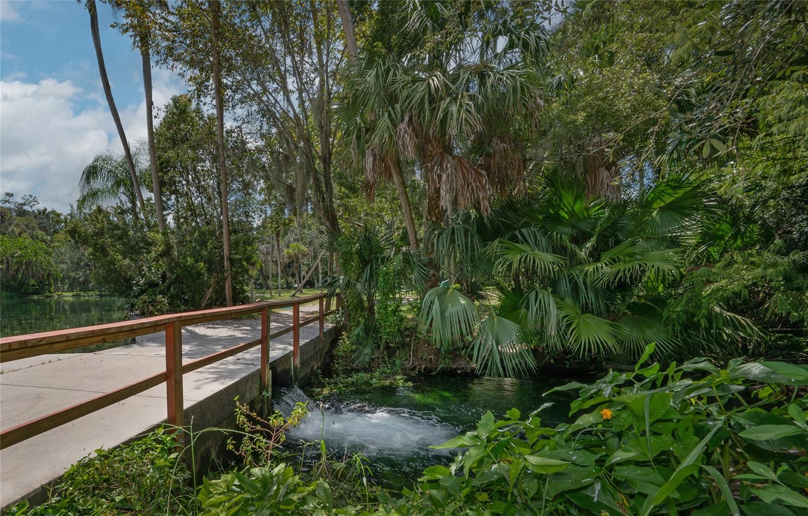 203 TOMOKA TRL #203, LONGWOOD, FL, 32779