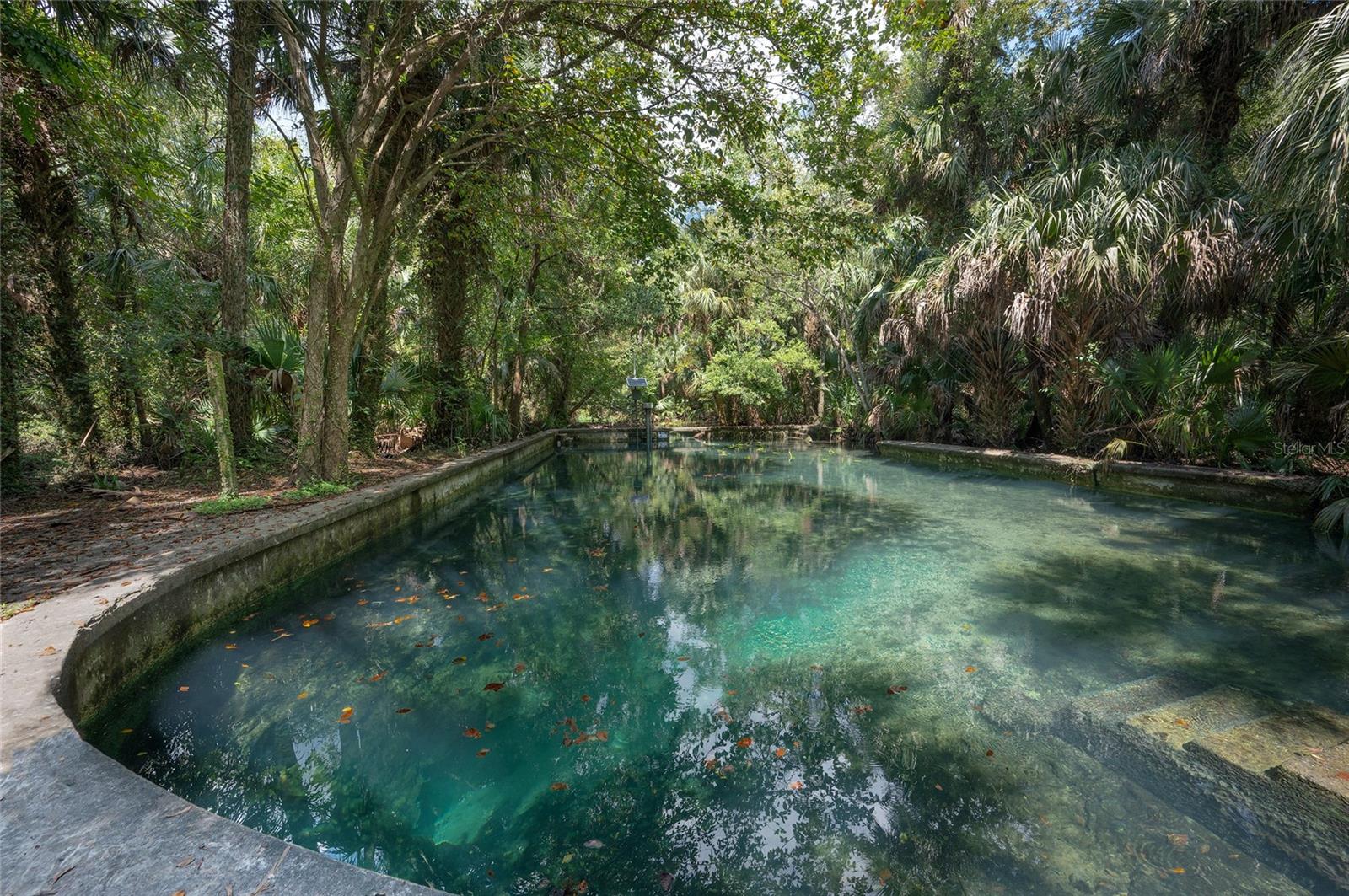 203 TOMOKA TRL #203, LONGWOOD, FL, 32779