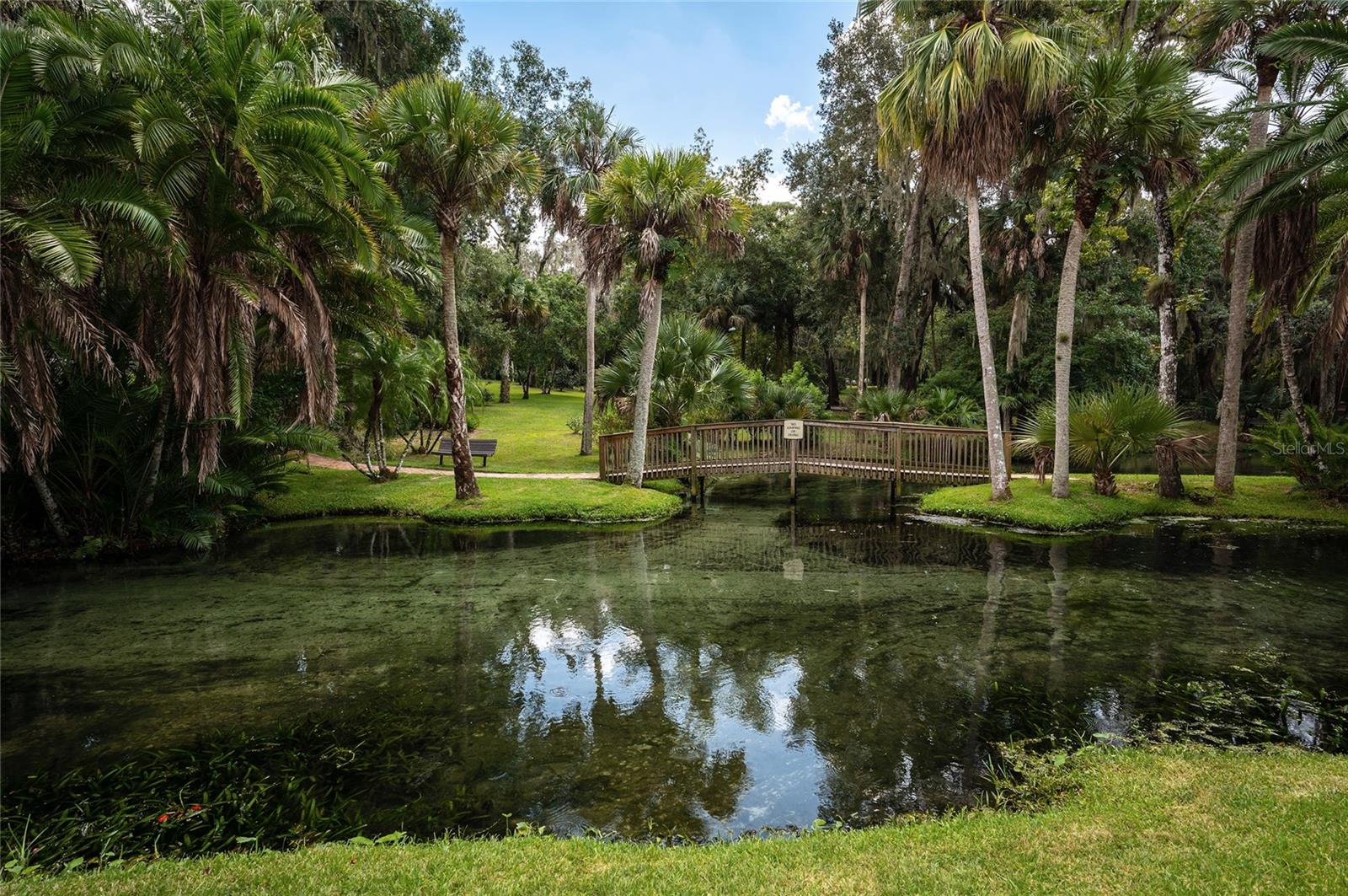 203 TOMOKA TRL #203, LONGWOOD, FL, 32779